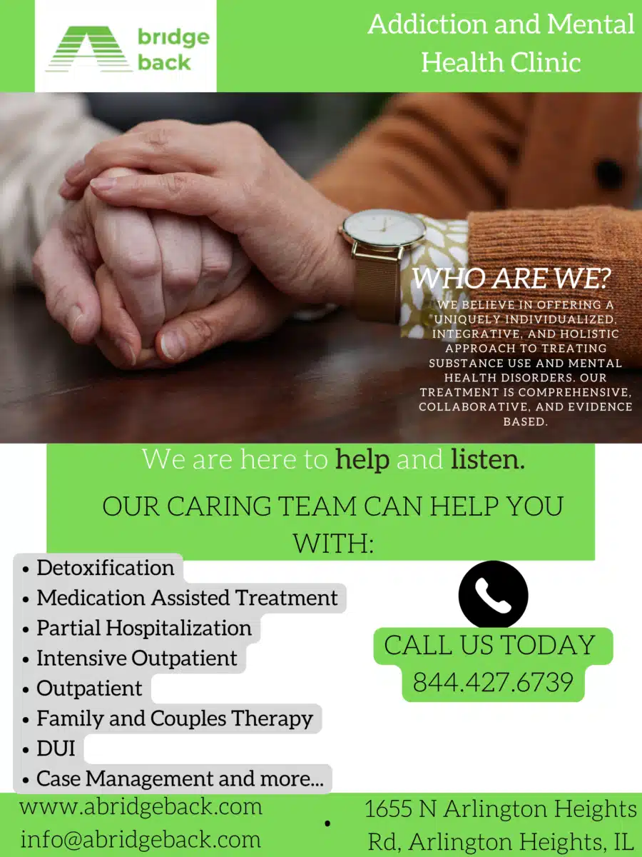 A Bridge Back Inc - Preview