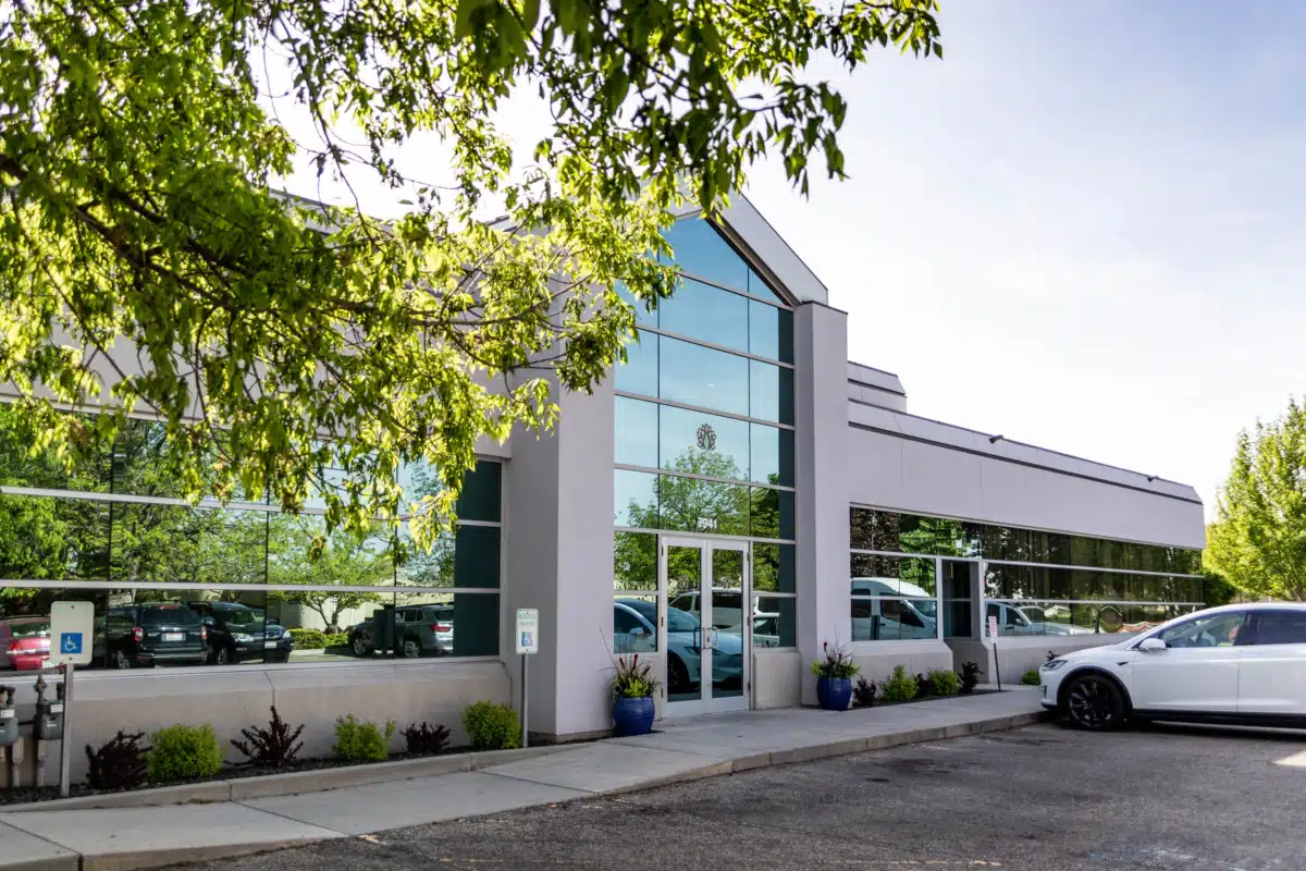 Ashwood Recovery - Preview