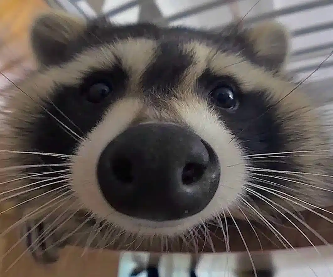 Behavior Services Center - Preview