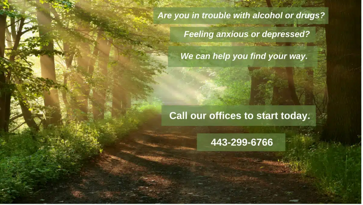 Bergand Group - Preview