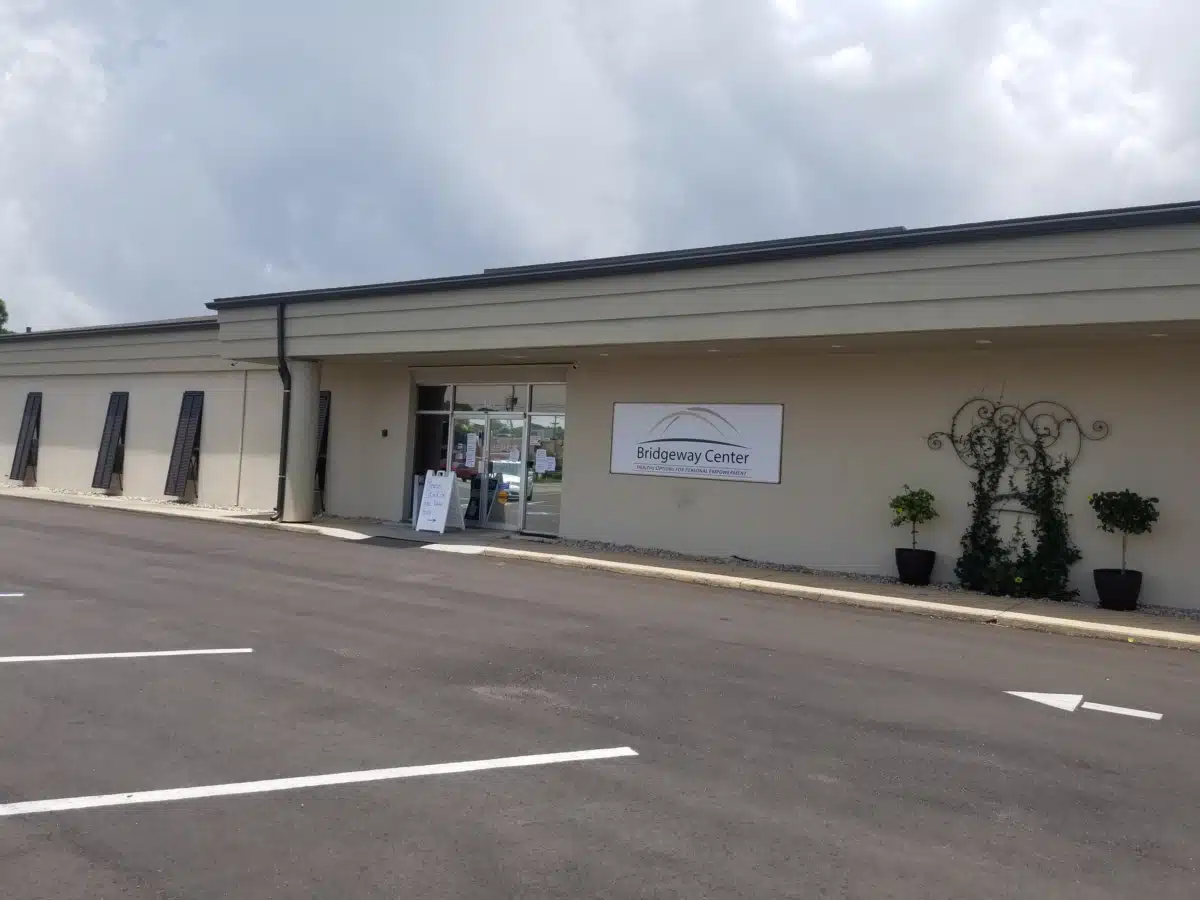 Bridgeway Center Inc - Preview