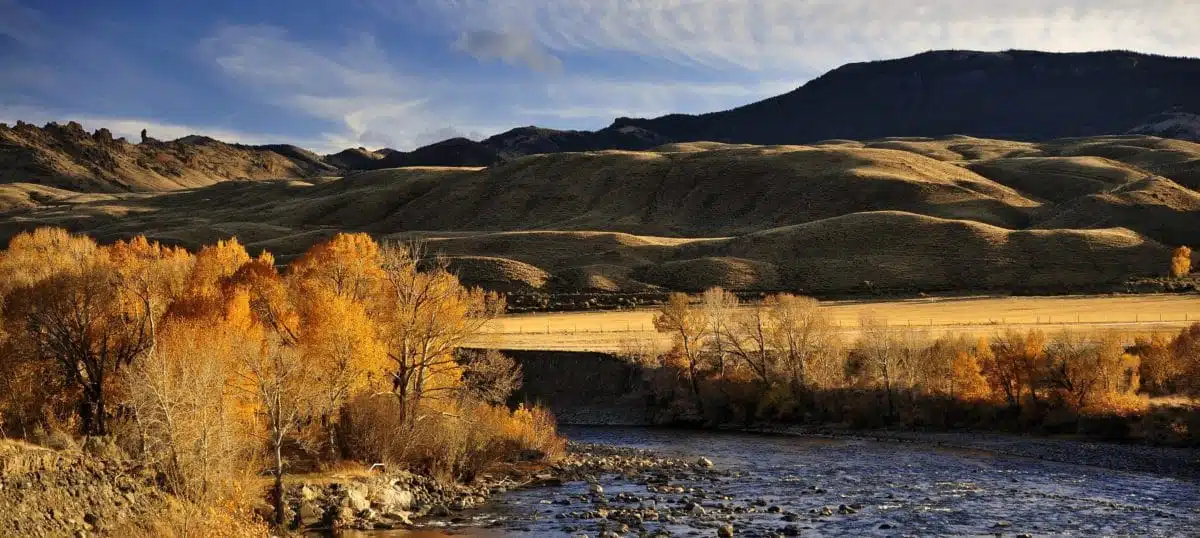 Cedar Mountain Center at - Preview