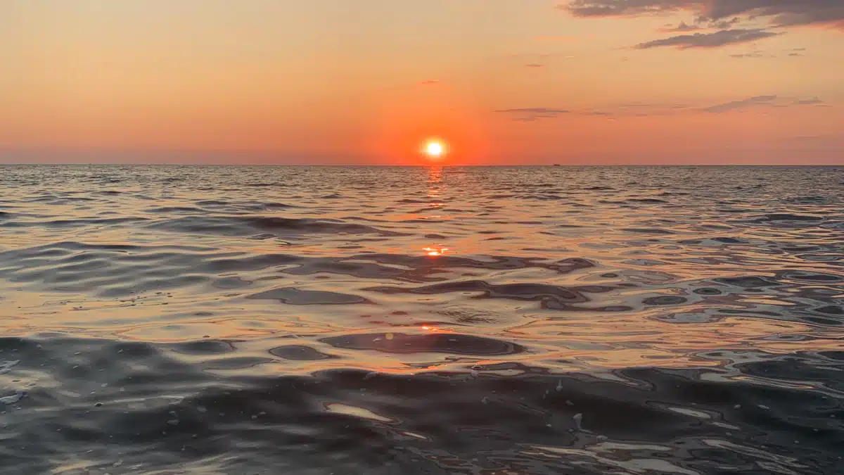 Chautauqua County Dept Mental Hygiene - Preview