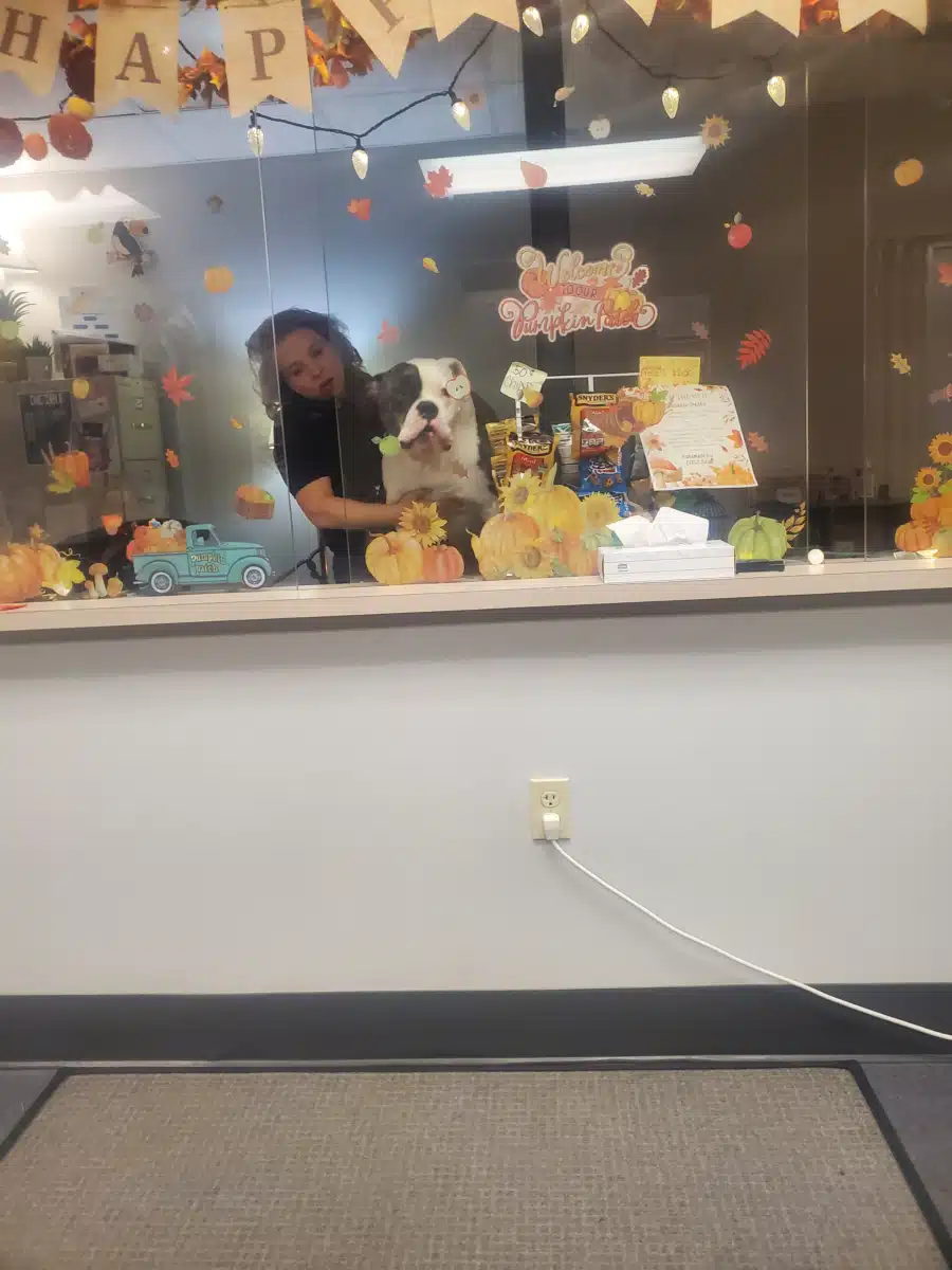 Clinical Outcomes Group Inc - Hero Image