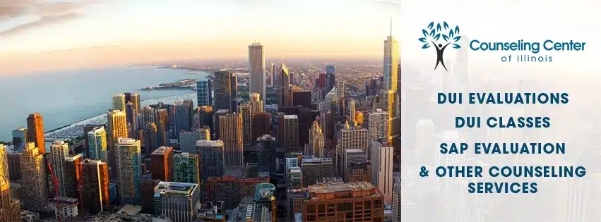 Counseling Center of Illinois Inc - Preview