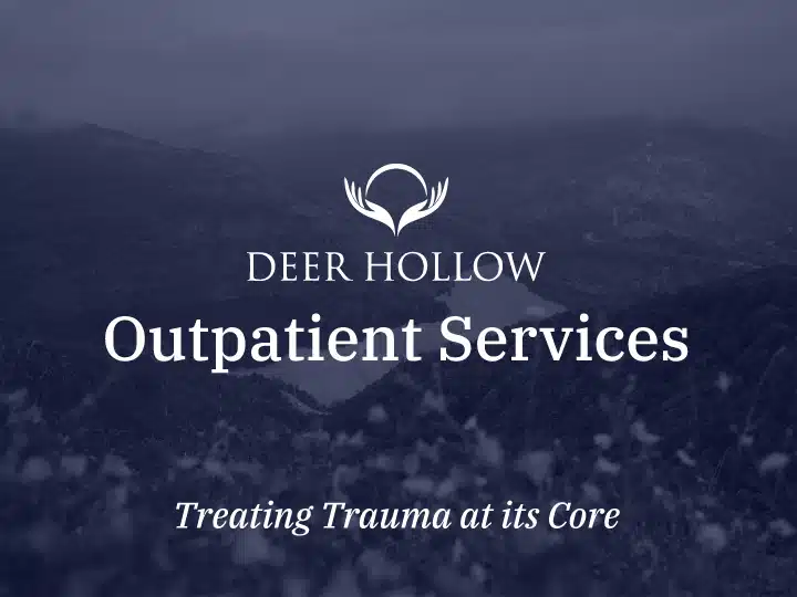 Deer Hollow Recovery - Hero Image