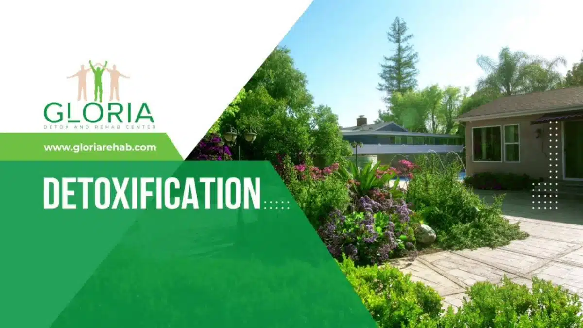 Gloria Detox and Rehab Center - Preview