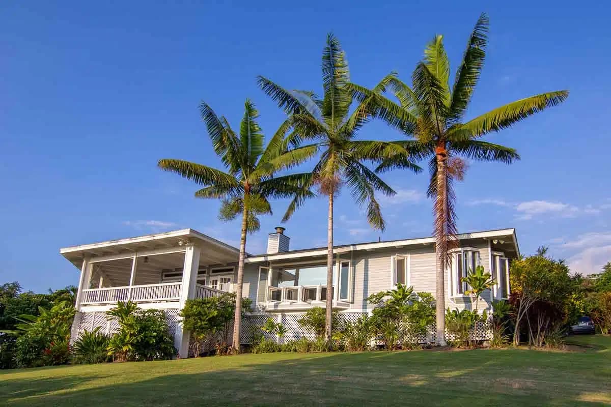 Hawaii Island Recovery - Preview