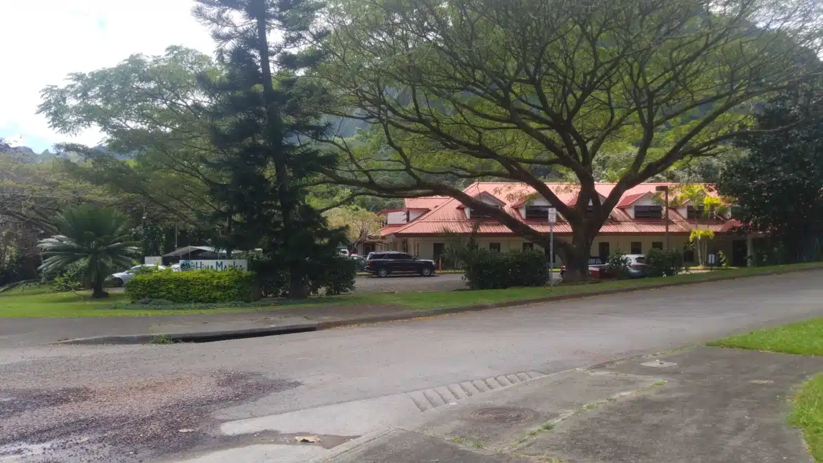 Hina Mauka/Teen Care - Preview