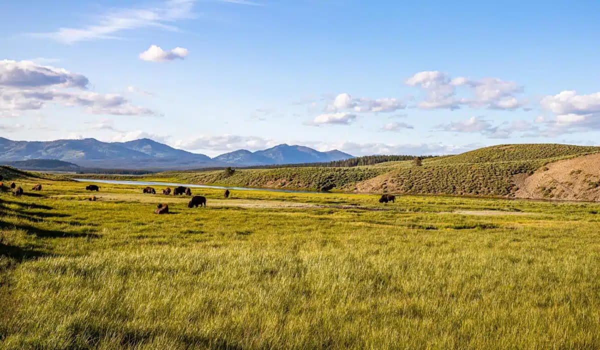 Indian Family Health Clinic - Preview