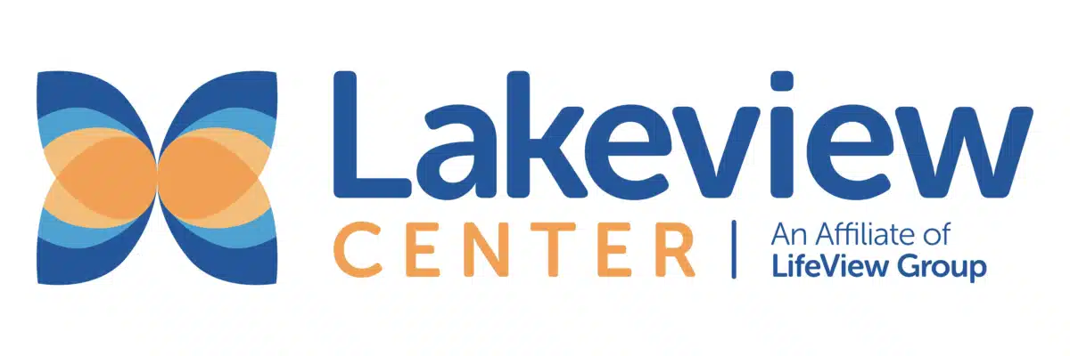 Lakeview Center Inc - Preview