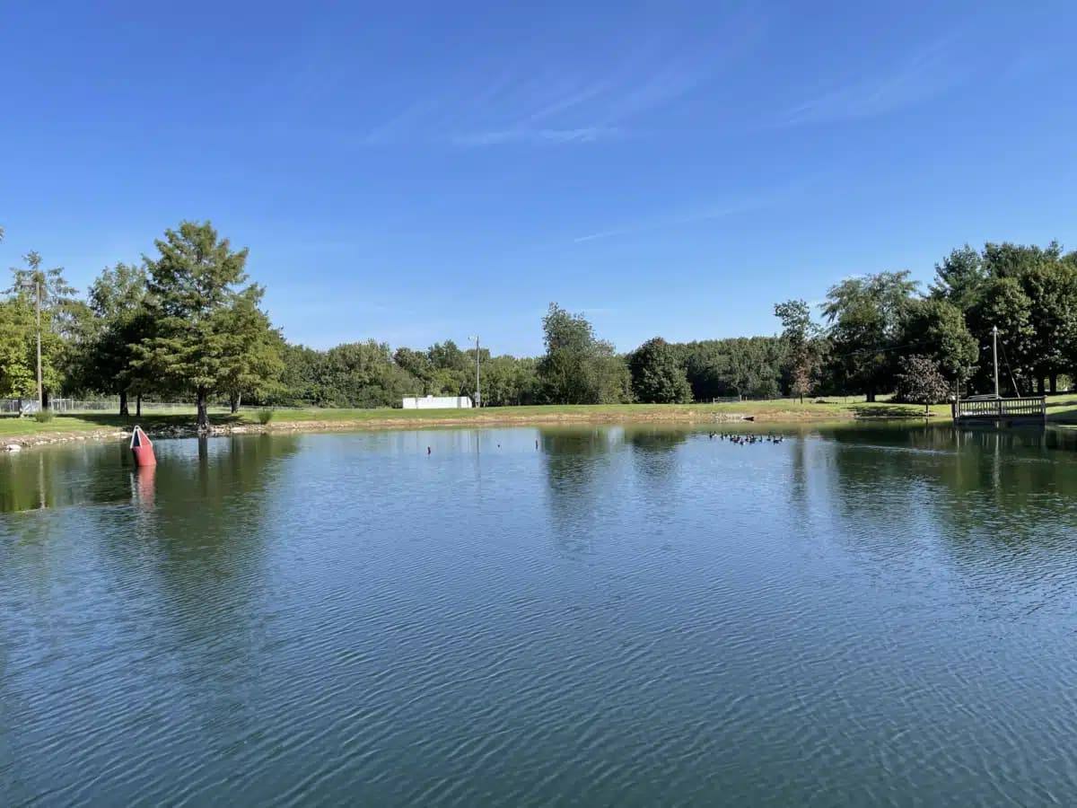 Lincoln Recovery - Hero Image