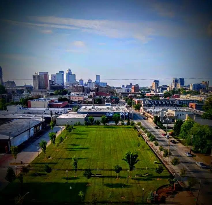 Lionrock Recovery - Preview