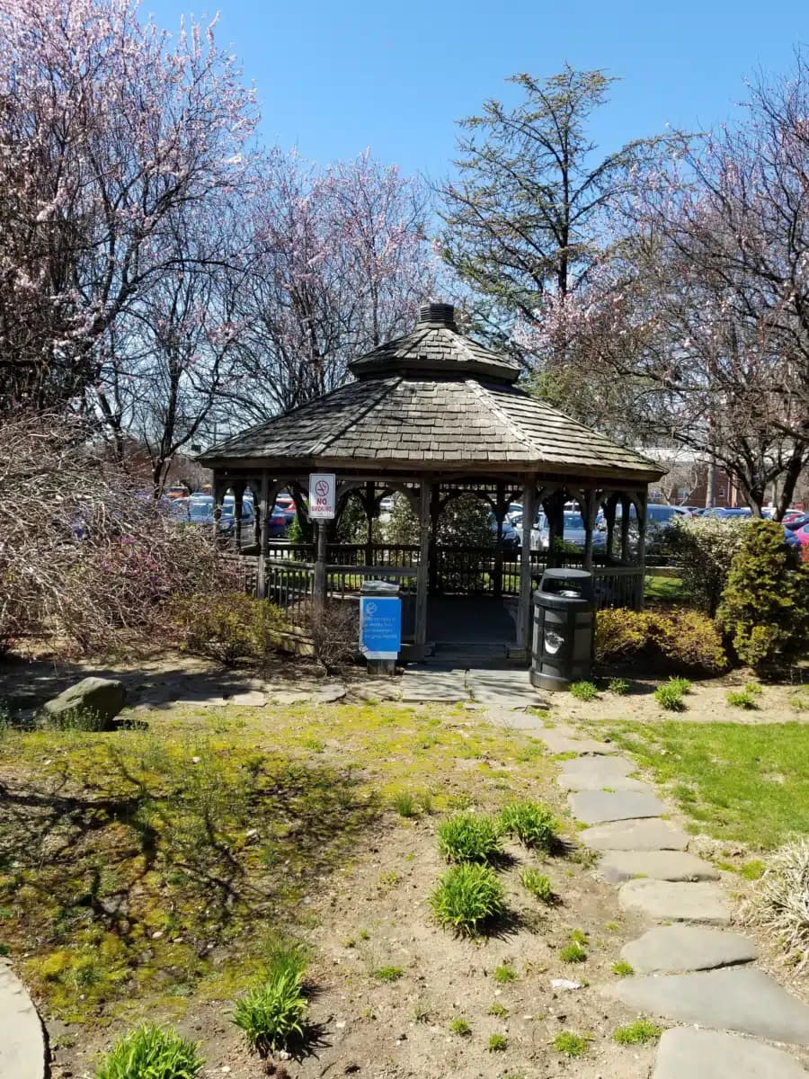 Long Island Jewish Medical Center - Preview