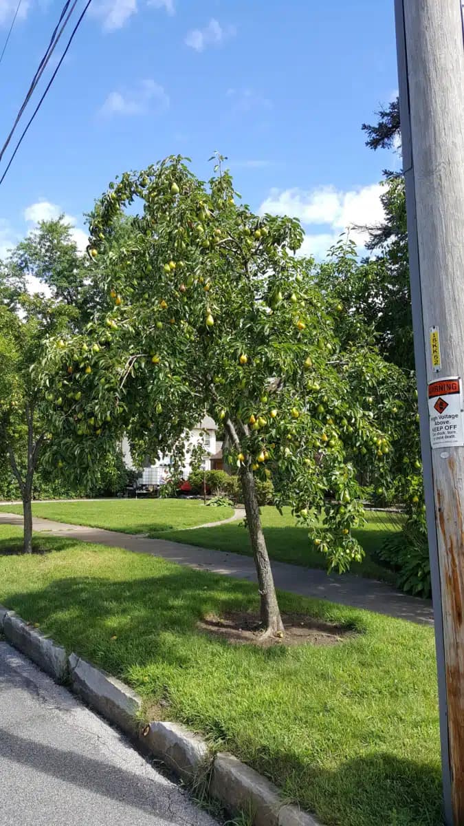 Marinette County Hlth and Human Servs - Hero Image