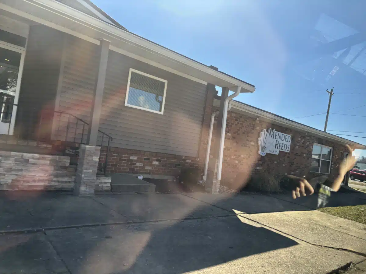 Mended Reeds Mental Health - Preview