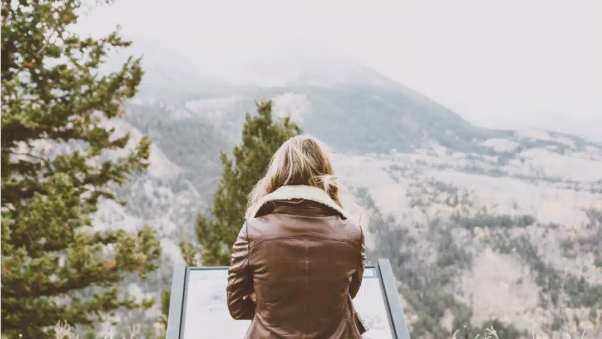 Momenta Recovery - Preview