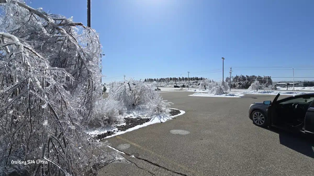 NMSAS Recovery Center - Preview