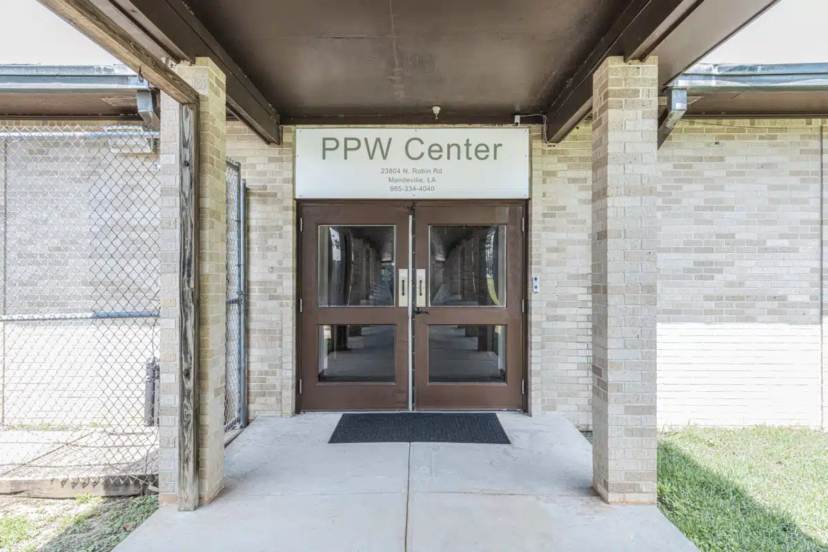 Ness Center - Preview