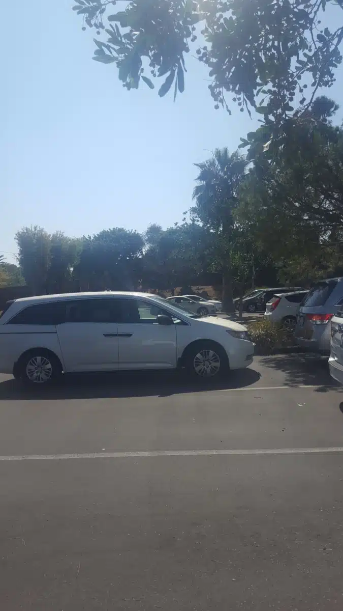 New Connections - Preview