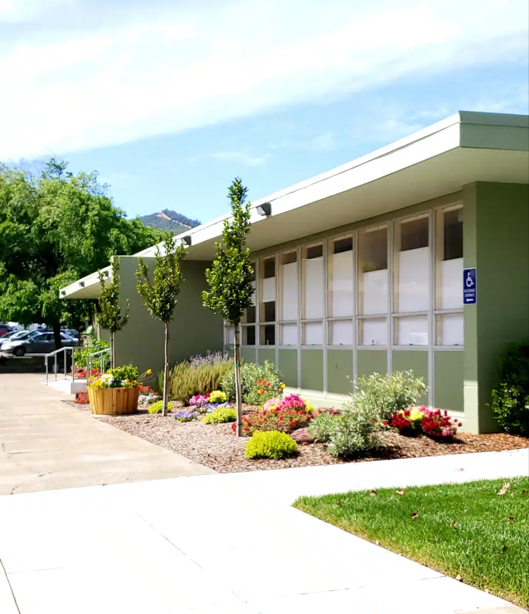 New Life Health Authority - Preview