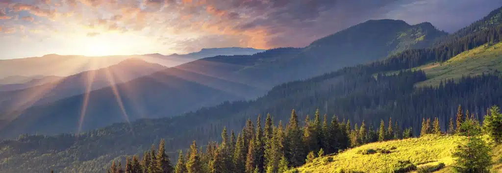 Onward Behavioral Health - Preview