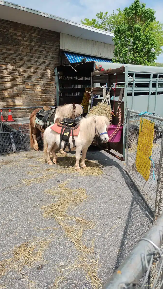 Peekskill Clinic - Preview