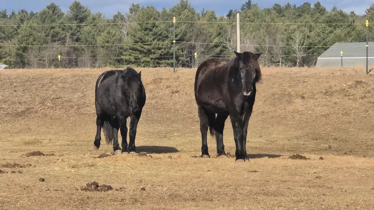 ROOTS at Evergreen Grove - Hero Image