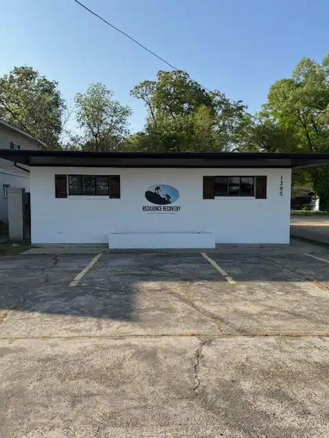 Resilience Recovery - Preview