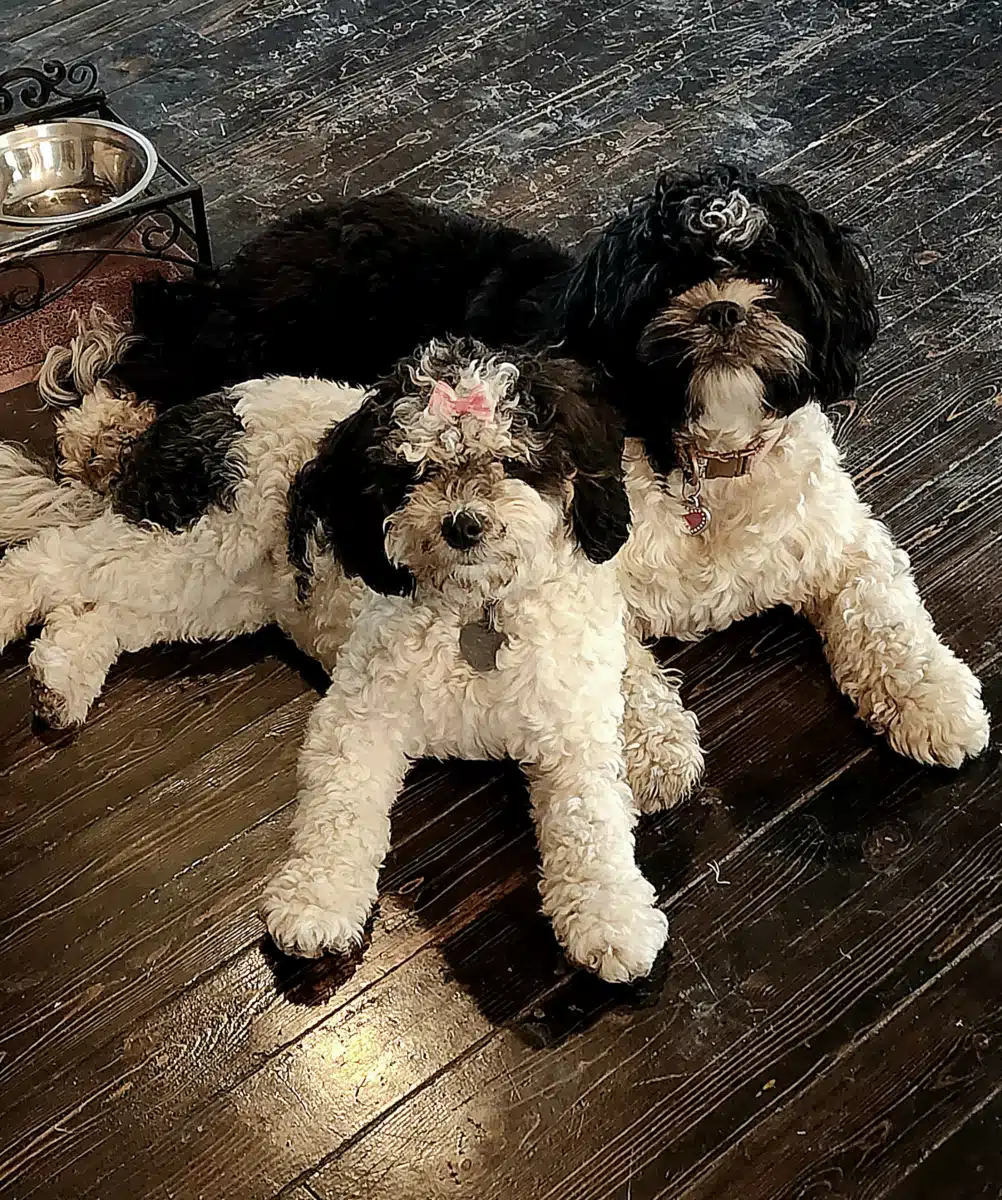 Restoring Hope Substance Abuse and - Hero Image