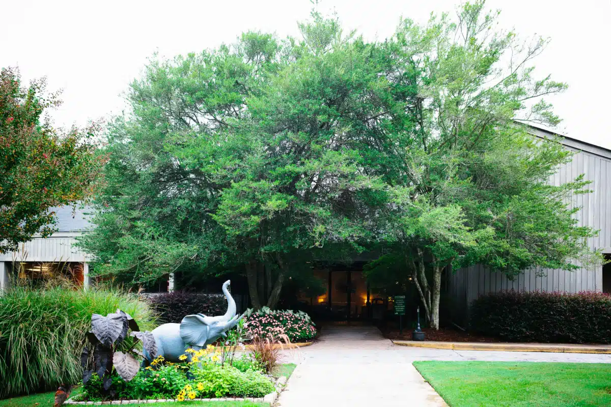 Ridgeview Institute Smyrna - Hero Image