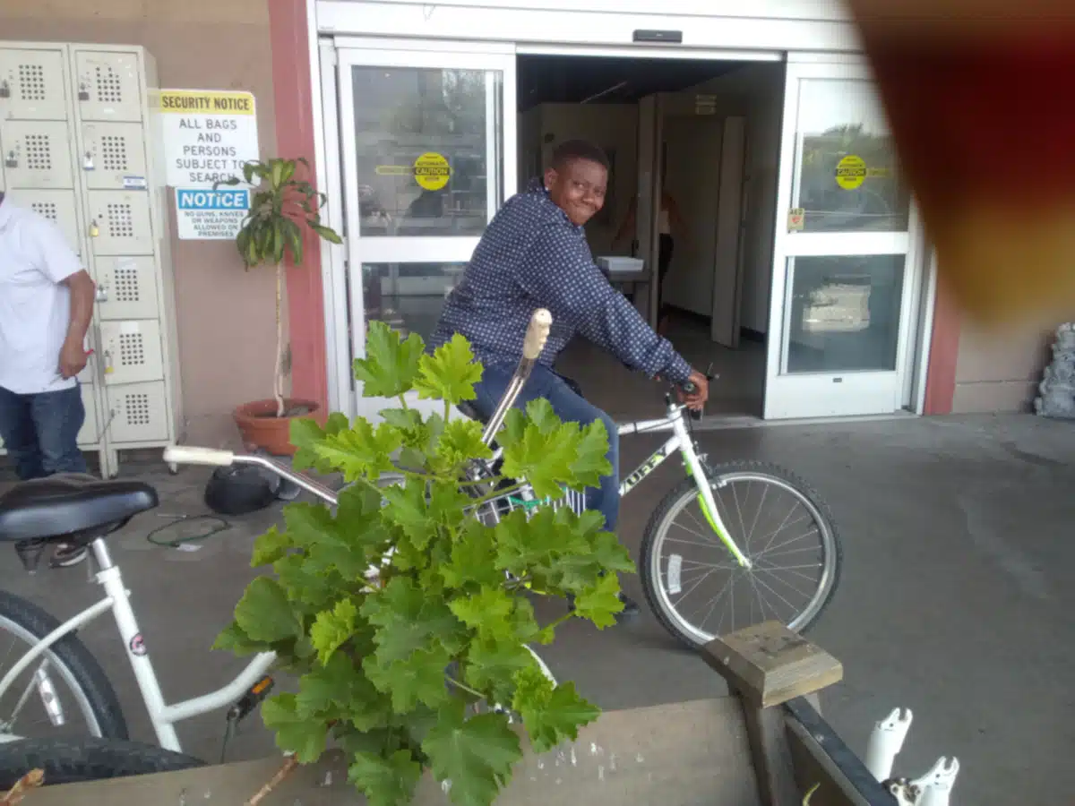 Salvation Army - Preview