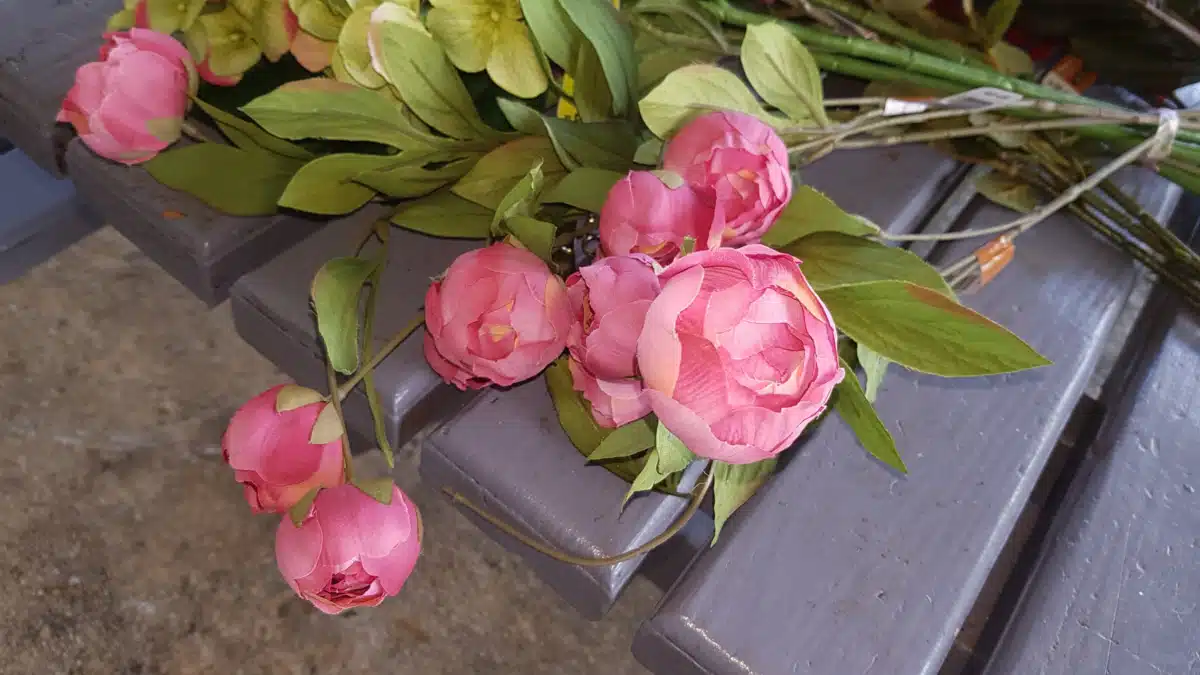 Sanctuary Incorporated of Guam - Hero Image