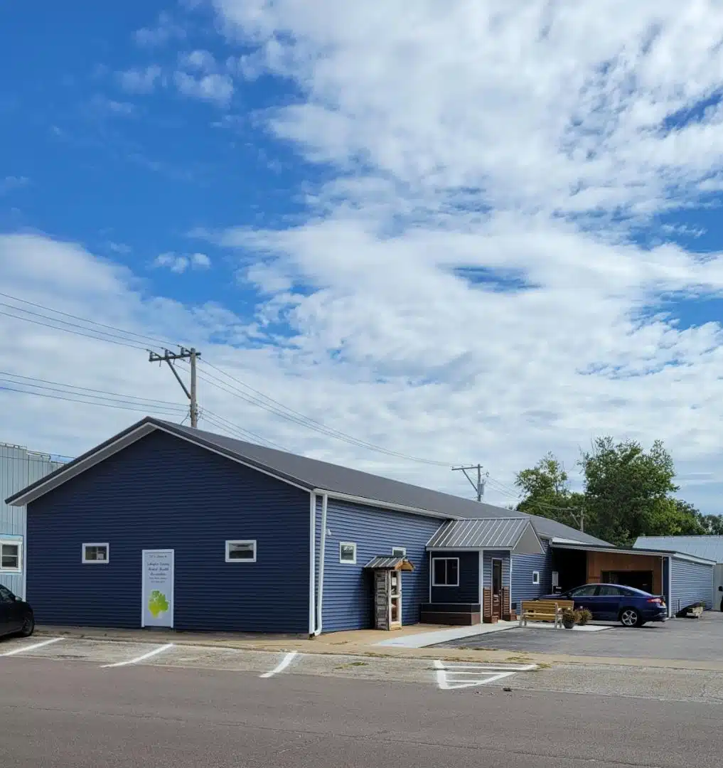 Schuyler County Mental - Hero Image