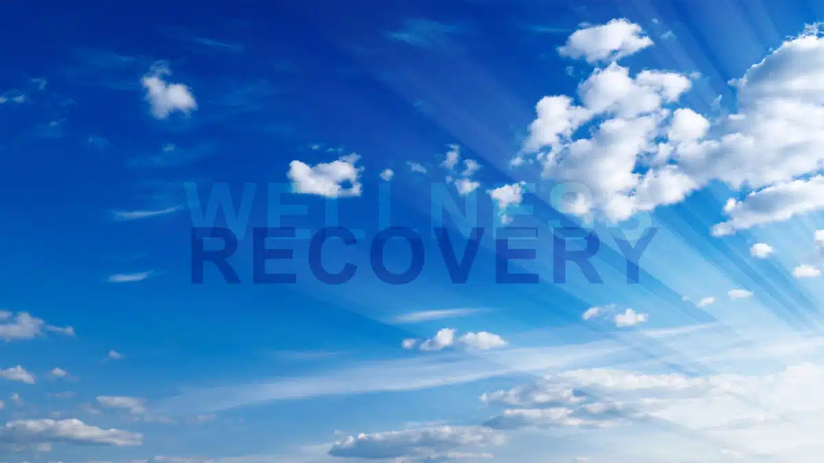 Sinnissippi Centers Inc - Hero Image