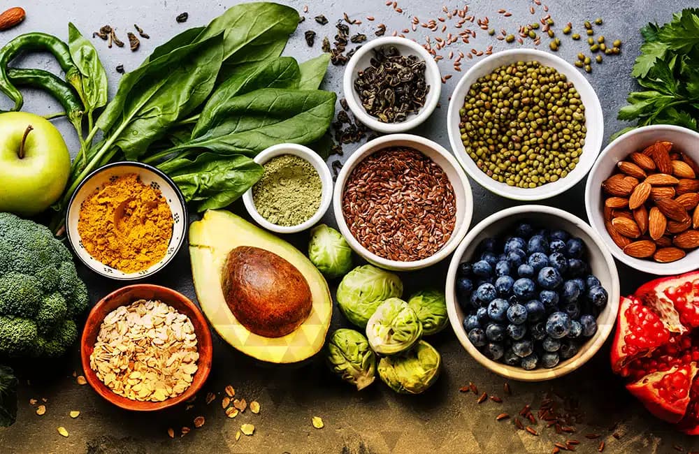 Skylake Recovery Center - Preview