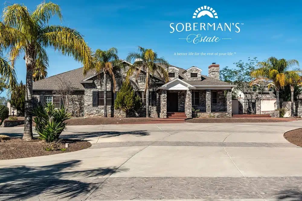Sobermans Estate - Preview