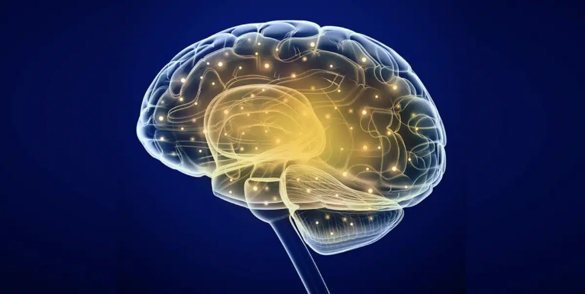 Sol Medical Group - Hero Image