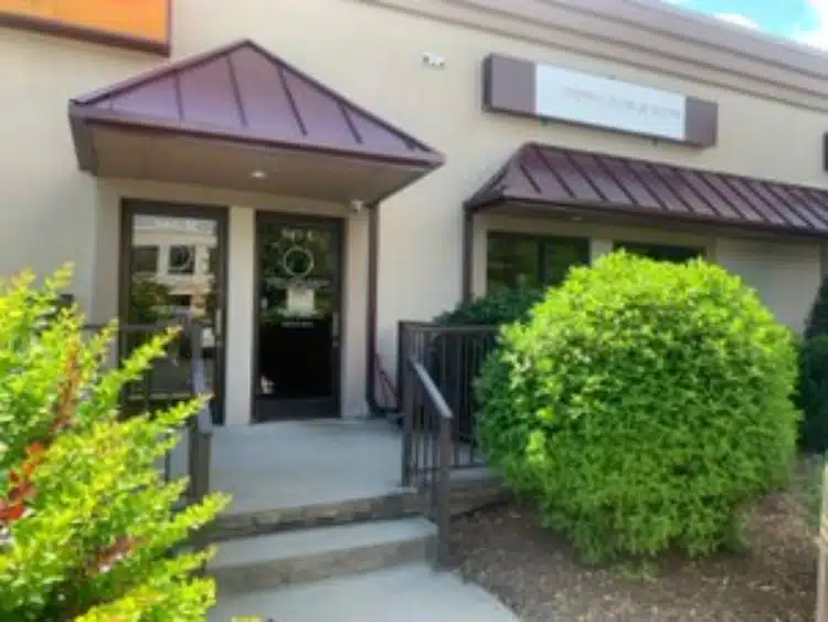 Stepping Stone of Boone - Preview