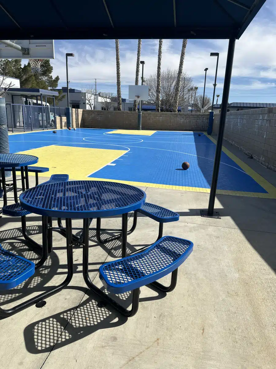 Tarzana Treatment Centers Inc - Preview