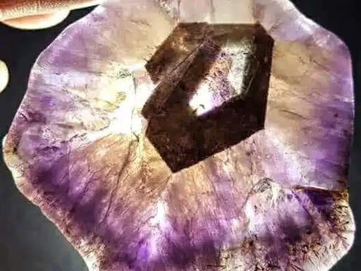 Terrapin Staton Sober Living NFP - Preview