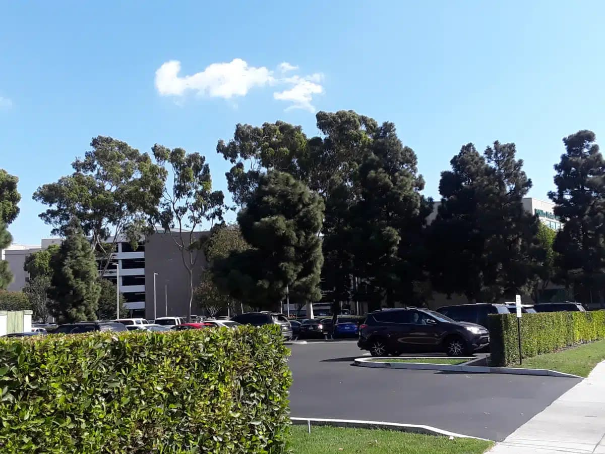 Thelma McMillen Recovery Center - Preview