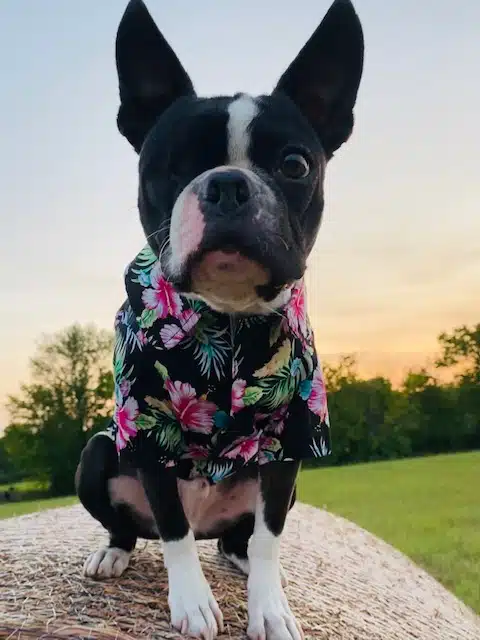 Therapy Services LLC - Hero Image