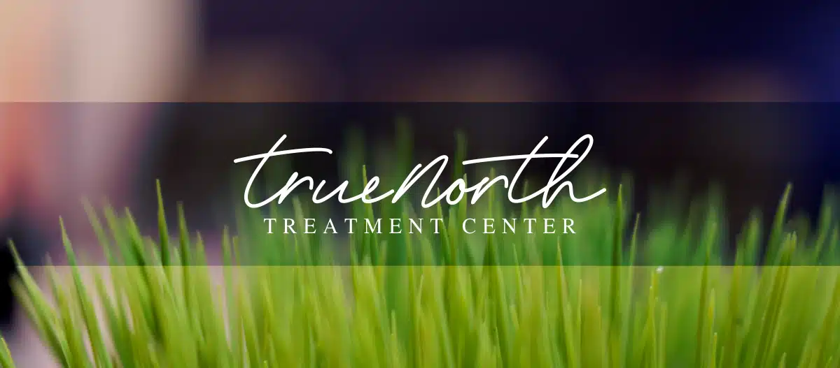 TrueNorth Treatment Center - Preview