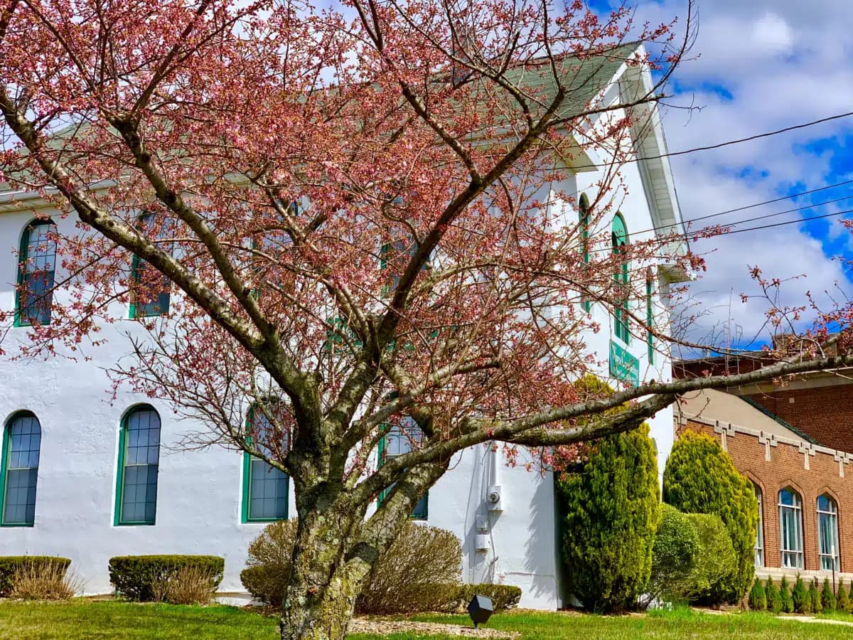 Wayne Counseling and Family Services - Hero Image