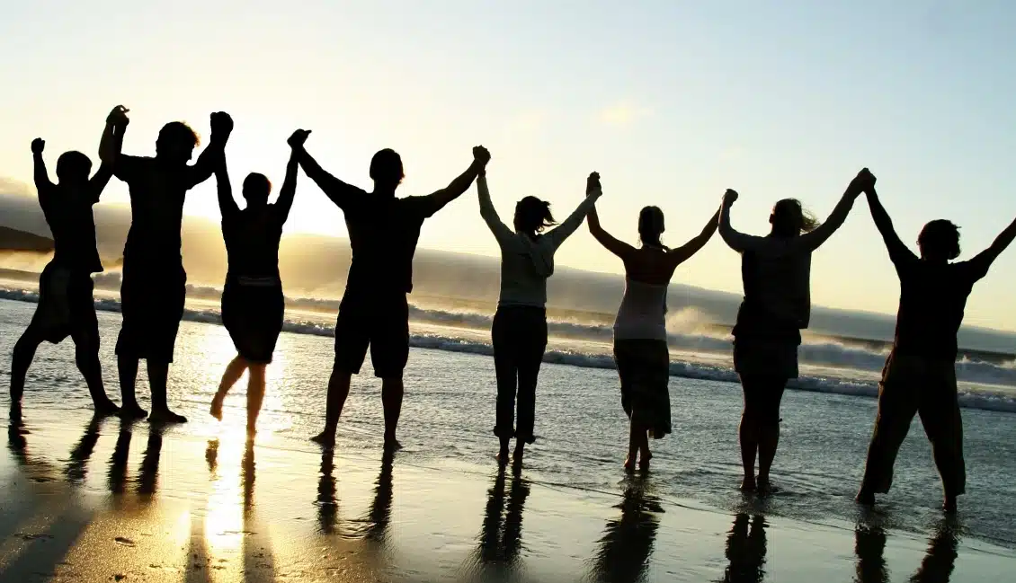 Willow Tree Recovery - Preview